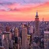 amylpnyc